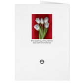 White on Red Cards (Back)