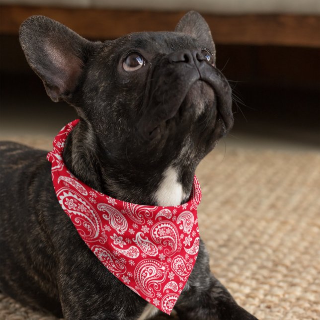 White on red vintage paisley pattern bandana (Creator Uploaded)