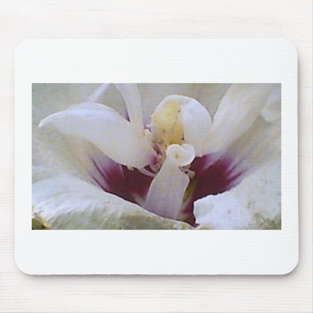 White on White Rose Bloom Mouse Pad (Front)