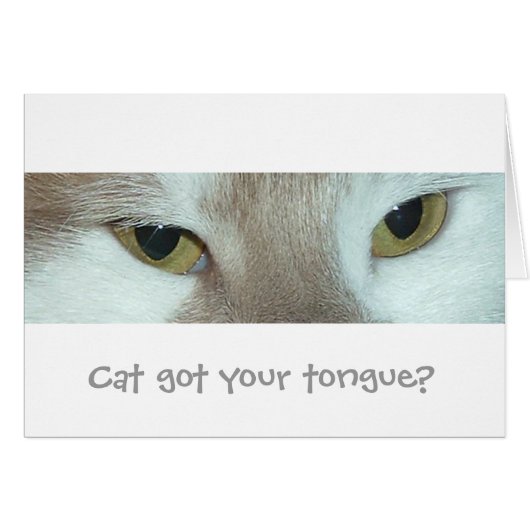 White & Orange Tabby Cat Cards (Front Horizontal)