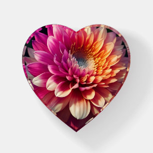 White Orange Yellow Pink Purple Blue Dahlia Flower Paperweight