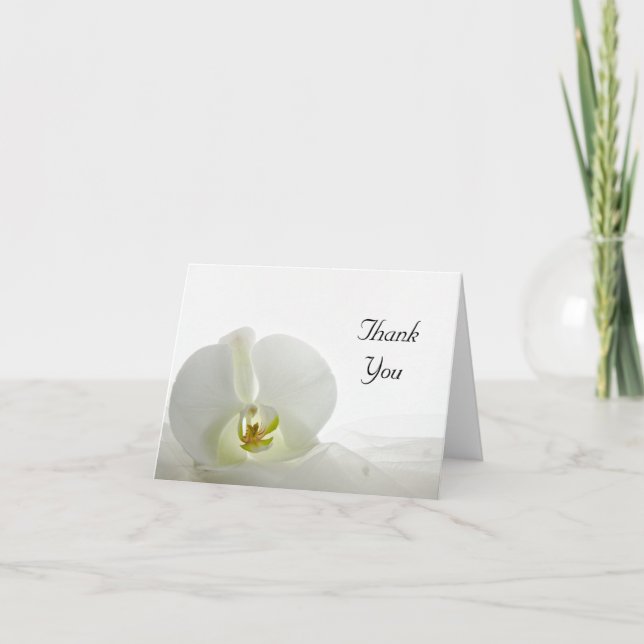 White Orchid and Bridal Veil Thank You (Front)