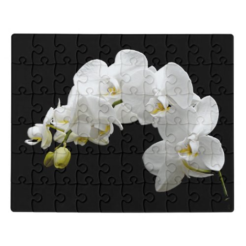 White Orchid Blossom Jigsaw Puzzle