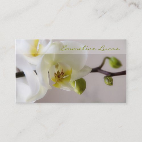 White Orchid â€¢ Business Card