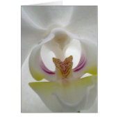 White Orchid Card (Front)