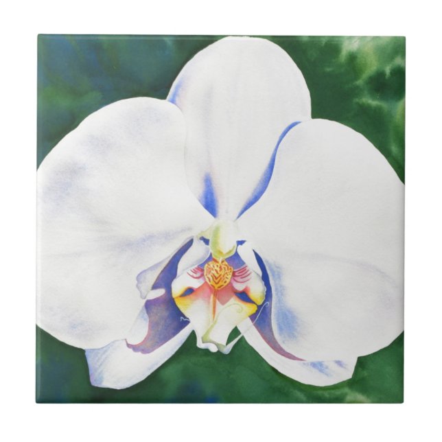 White Orchid Ceramic Tile (Front)