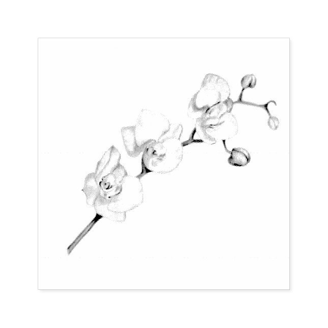 White Orchid Dream Elegant Feminine Chic Art Rubber Stamp (Imprint)
