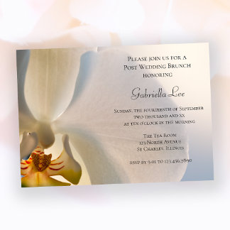 White Orchid Elegance Post Wedding Brunch Invitation