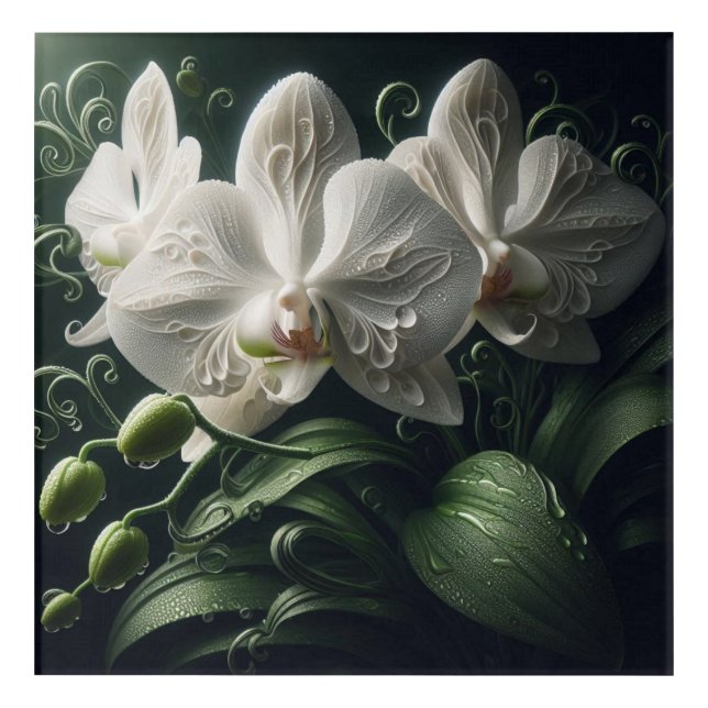White Orchid Floral  Acrylic Print (Front)