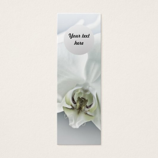 White Orchid Flower (Front)