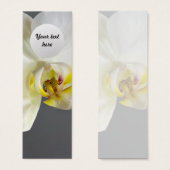 White Orchid Flower (Front & Back)