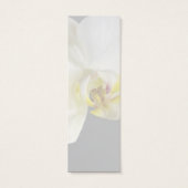 White Orchid Flower (Back)