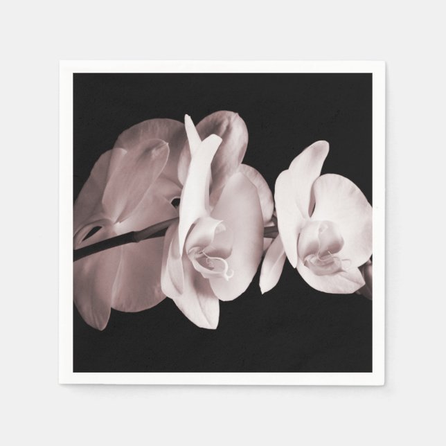 White Orchid Flower Black Background Abstract Paper Napkins (Front)