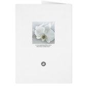 White Orchid Flower Cards (Back)