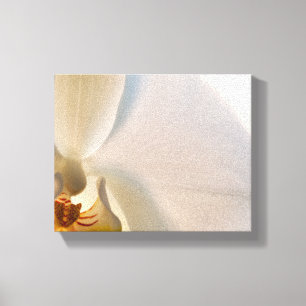White Orchid Flower Close Up Canvas Print