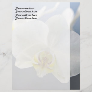 White Orchid Flower Letterhead