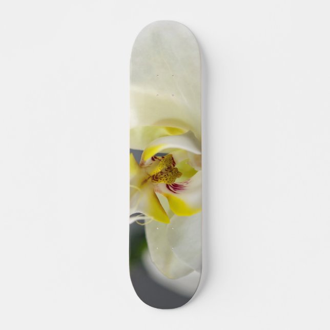 White Orchid Flower Skateboard Deck (Front)