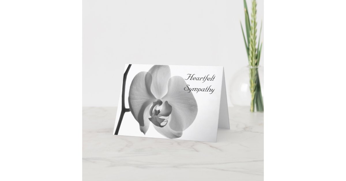 White Orchid Flower Sympathy Card