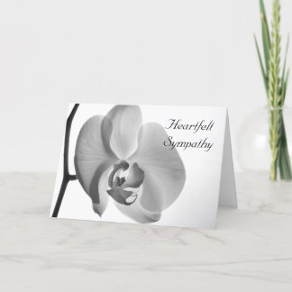 White Orchid Flower Sympathy Card