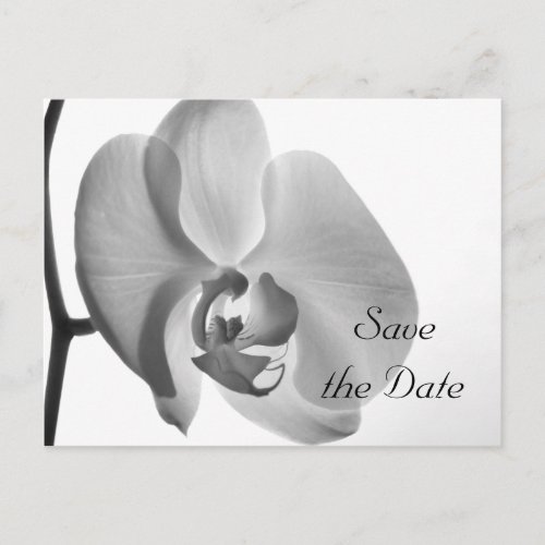 White Orchid Flower Wedding Save the Date Announcement Postcard
