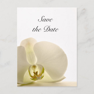 White Orchid Flower Wedding Save the Date Announcement Postcard