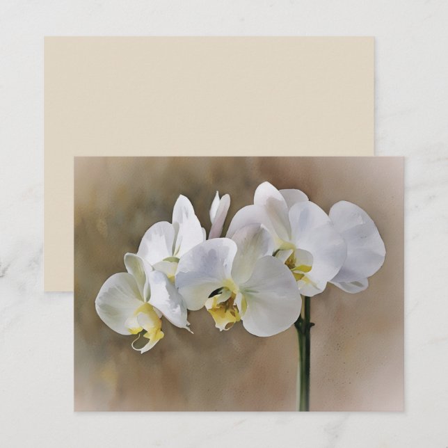 White Orchid Flowers Art Note Card Set  (Front/Back)