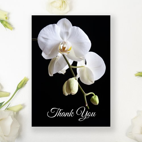 White Orchid Flowers on Black Funeral Sympathy Thank You Card