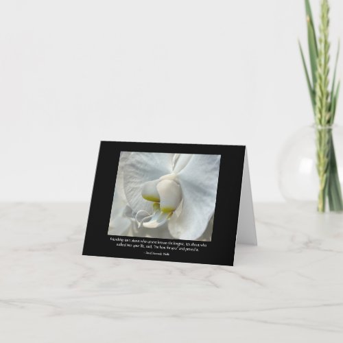 White Orchid Friendship Saying_David Avocado Wolfe Card