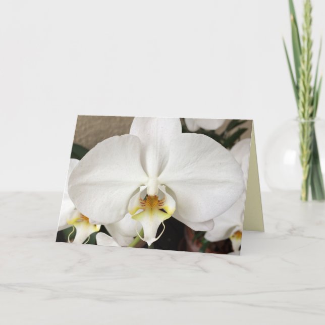 White Orchid Greeting Card (Front)
