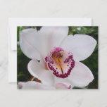 White Orchid I Beautiful Tropical Flower Card