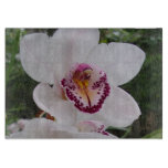 White Orchid I Beautiful Tropical Flower Cutting Board