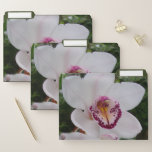 White Orchid I Beautiful Tropical Flower File Folder