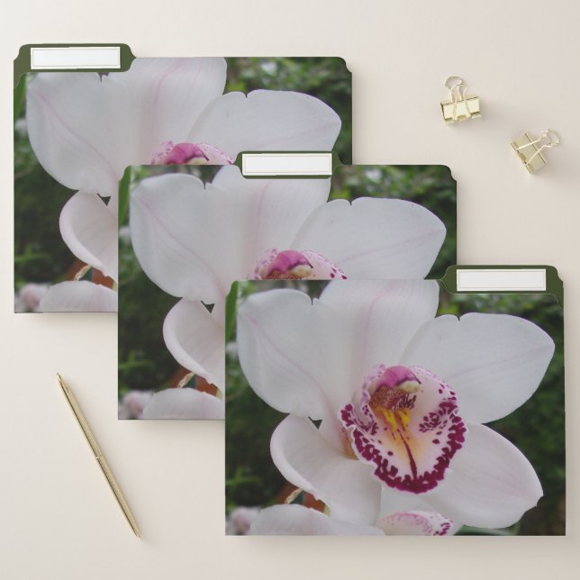 White Orchid I Beautiful Tropical Flower File Folder (Set)