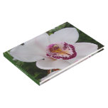White Orchid I Beautiful Tropical Flower Guest Book