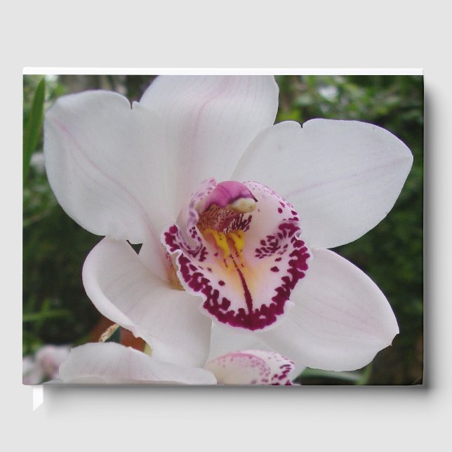 White Orchid I Beautiful Tropical Flower Guest Book (Front)