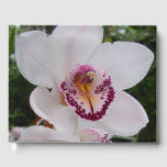 White Orchid I Beautiful Tropical Flower Guest Book