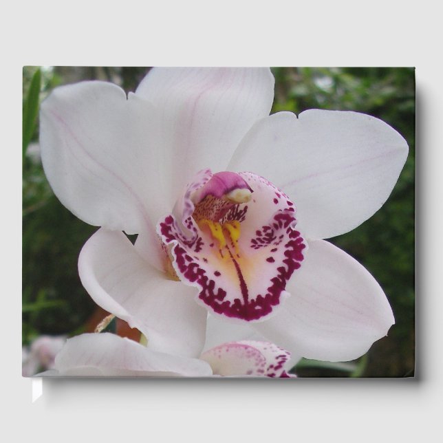 White Orchid I Beautiful Tropical Flower Guest Book (Front)