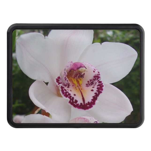 White Orchid I Beautiful Tropical Flower Hitch Cover (Front)