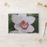 White Orchid I Beautiful Tropical Flower HP Laptop Skin