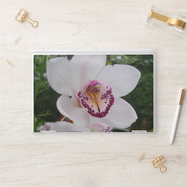 White Orchid I Beautiful Tropical Flower HP Laptop Skin (Desk)