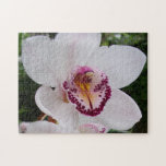 White Orchid I Beautiful Tropical Flower Jigsaw Puzzle