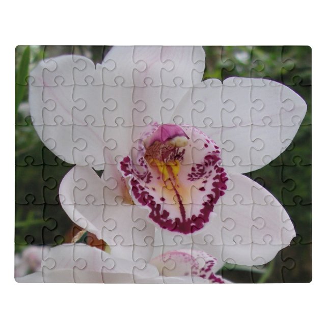 White Orchid I Beautiful Tropical Flower Jigsaw Puzzle (Puzzle Horizontal)