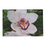 White Orchid I Beautiful Tropical Flower Placemat
