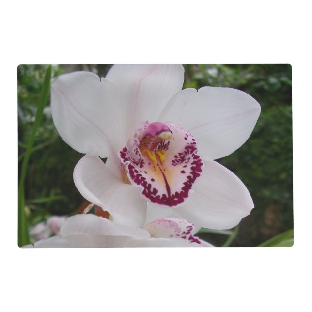 White Orchid I Beautiful Tropical Flower Placemat (Front)