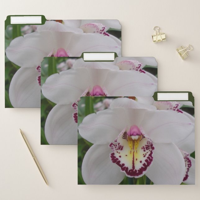 White Orchid II Beautiful Tropical Flower File Folder (Set)