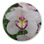 White Orchid II Elegant Floral Ceramic Knob