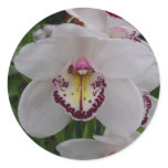 White Orchid II Elegant Floral Classic Round Sticker