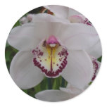 White Orchid II Elegant Floral Classic Round Sticker
