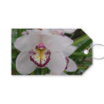White Orchid II Elegant Floral Gift Tags