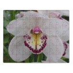 White Orchid II Elegant Floral Jigsaw Puzzle